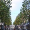 Unsere Alleestrasse